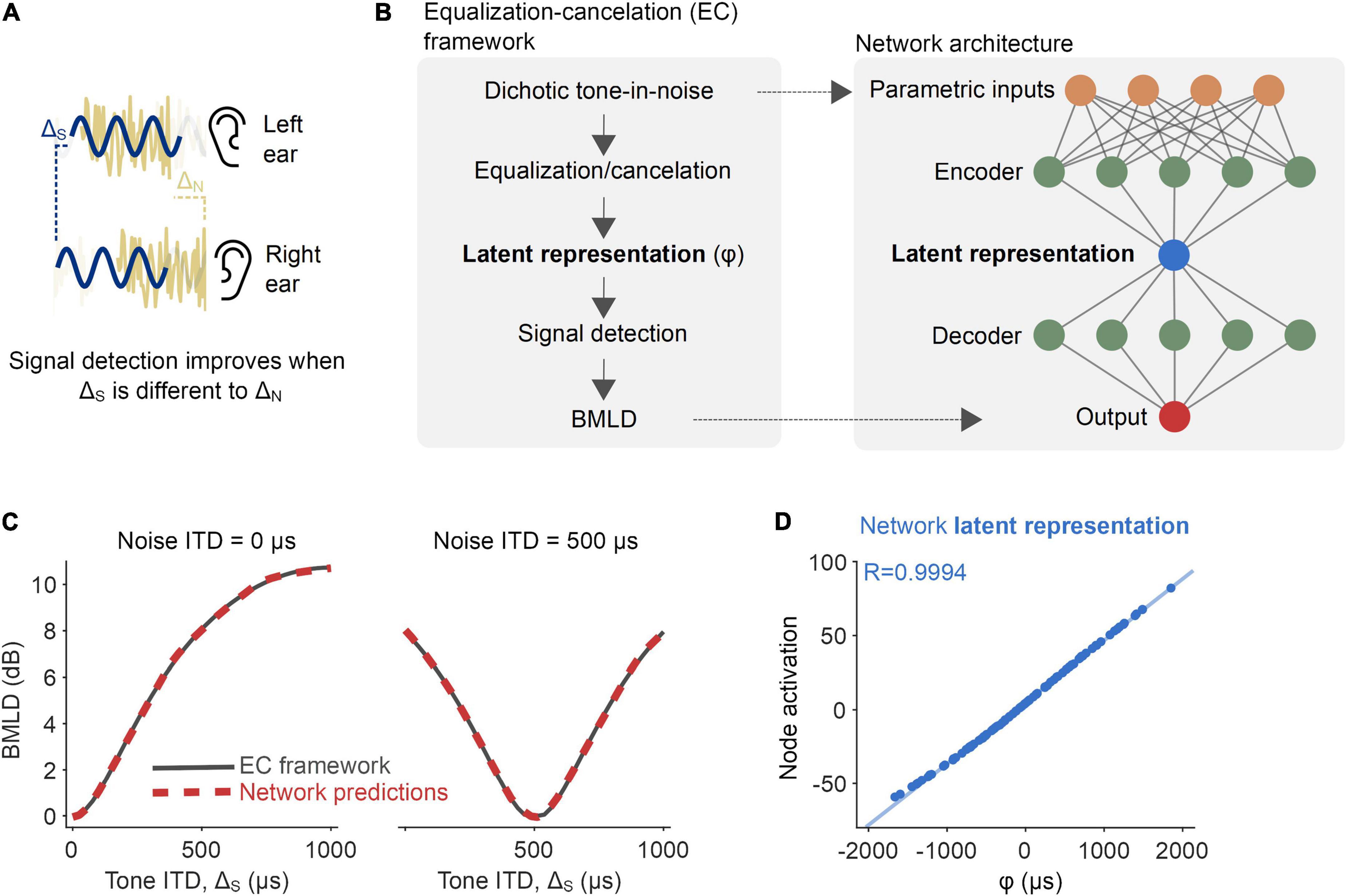 Inferring the basis of binaural detection with a modified autoencoder